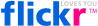 flickr_logo_gammav1510.gif