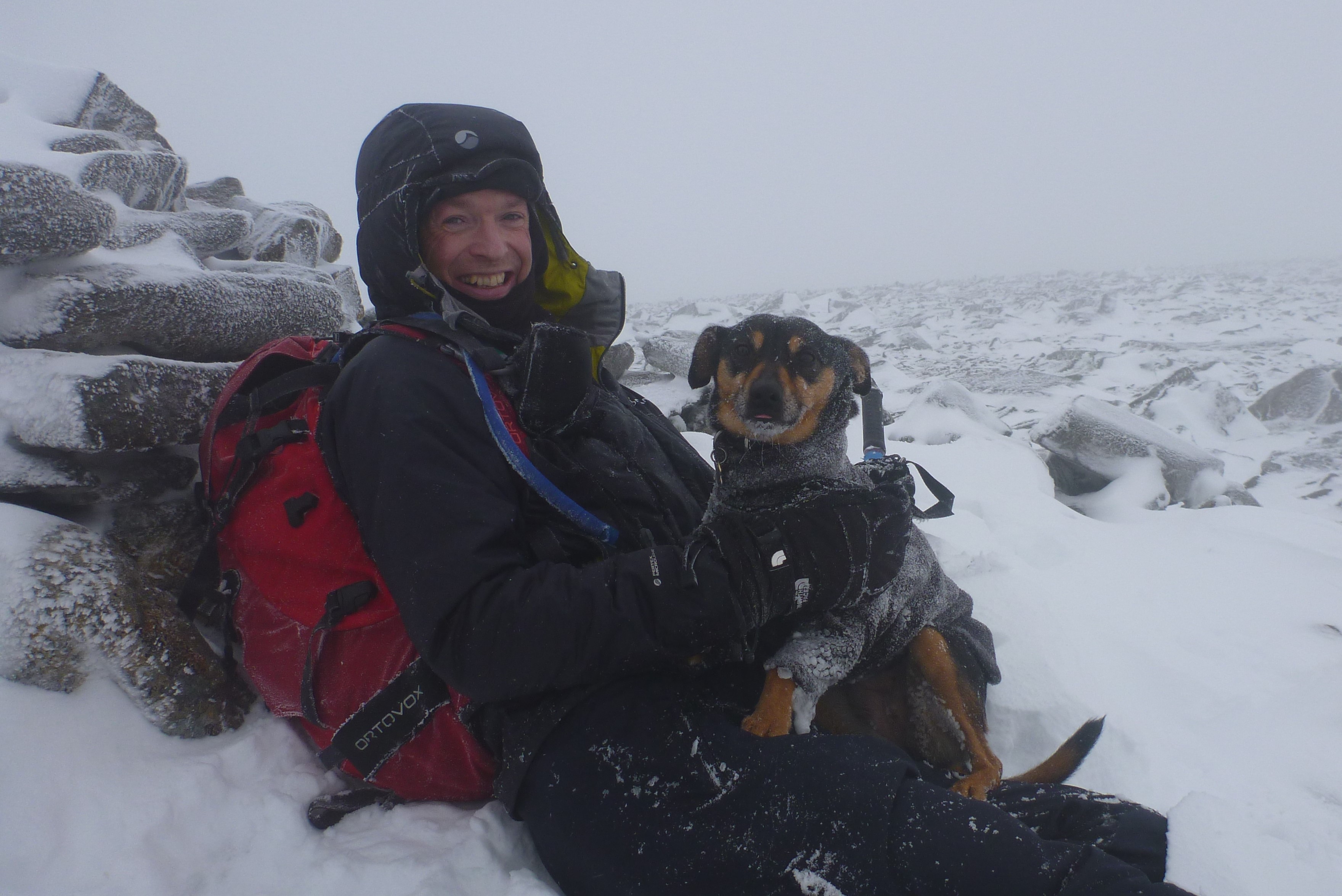 1 jan 16 dan and penny