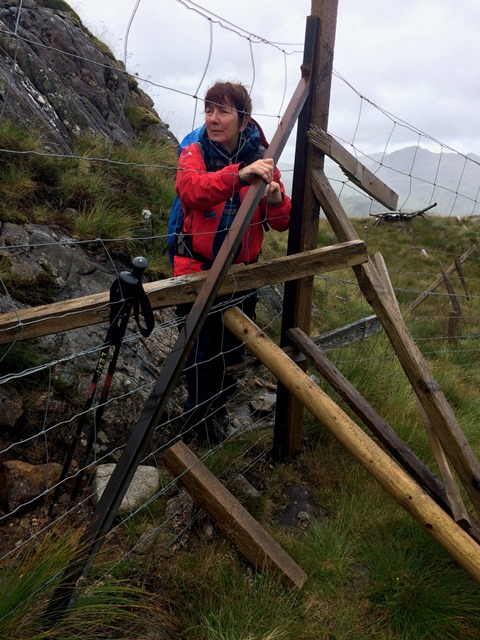 Fiona climbing the deer fence