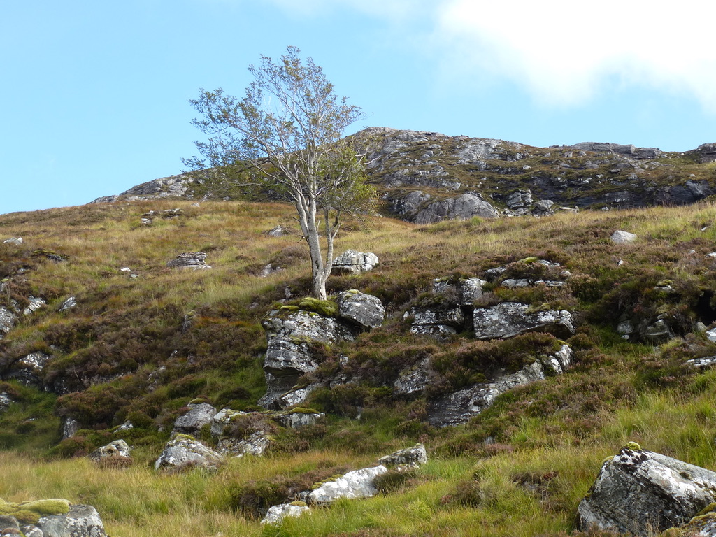 UNADJUSTEDNONRAW_thumb_570