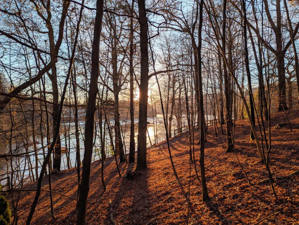 Sunrise in by the River Tay, Pitlochry