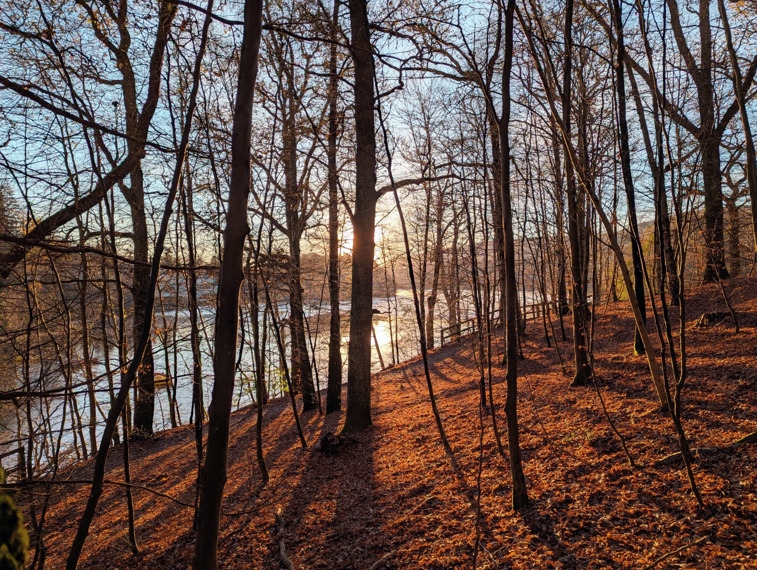 Sunrise by the River Tay, Pitlochry