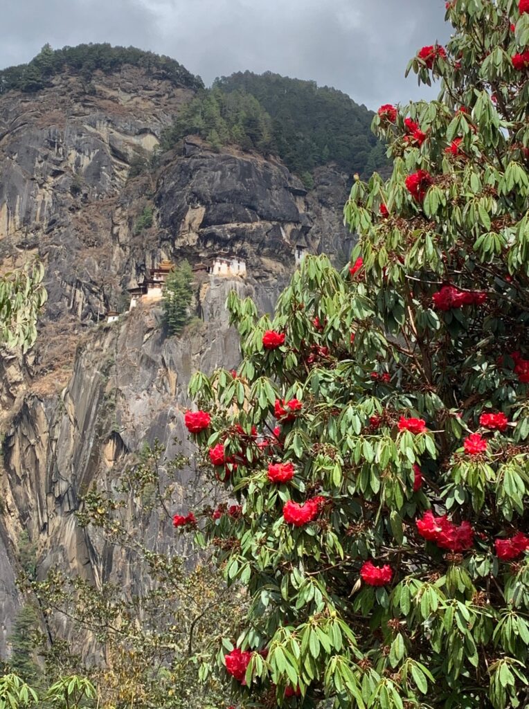 Tiger’s Nest Paro Bhutan