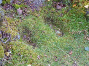 The Glenmoriston footprints