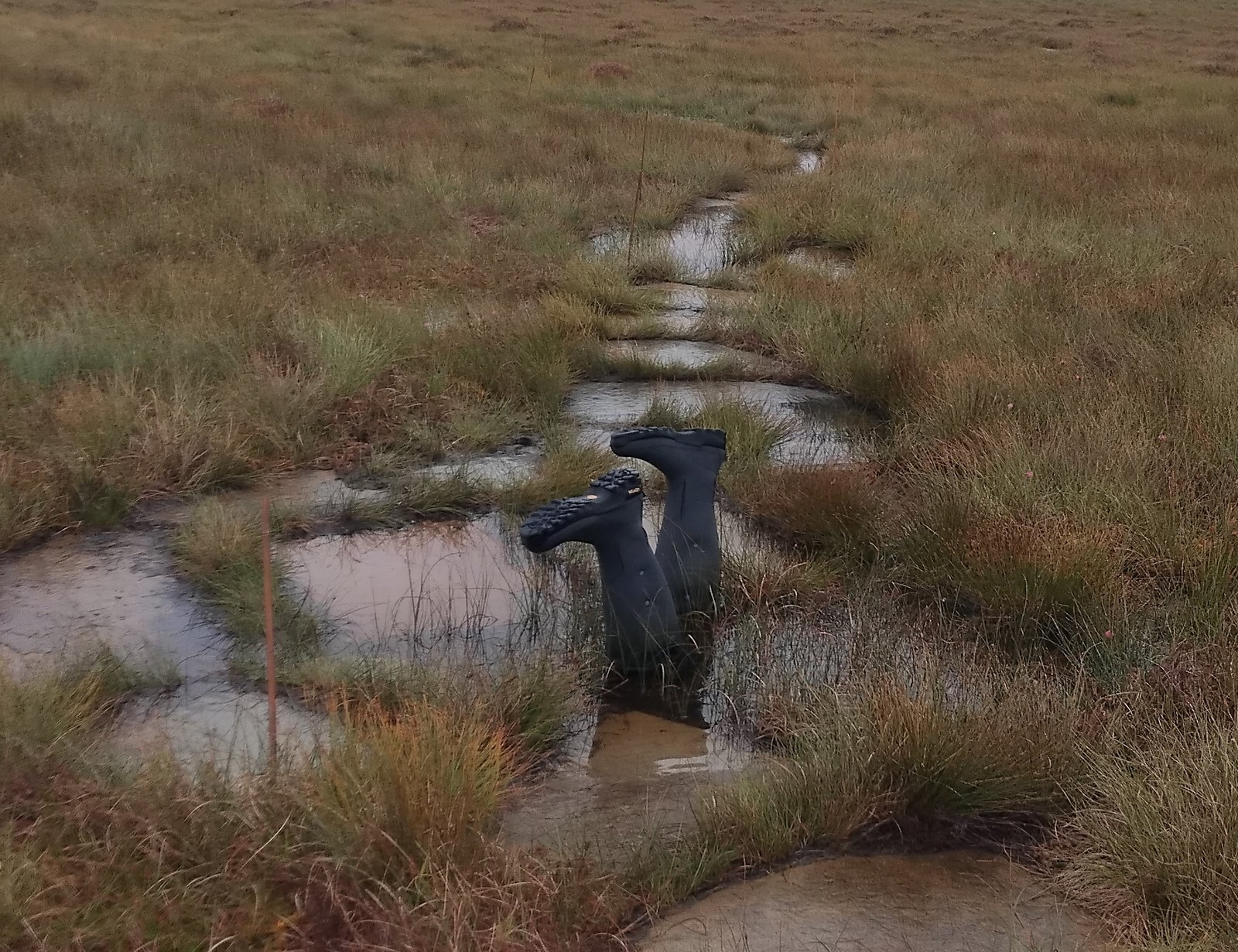 Boots in Bog